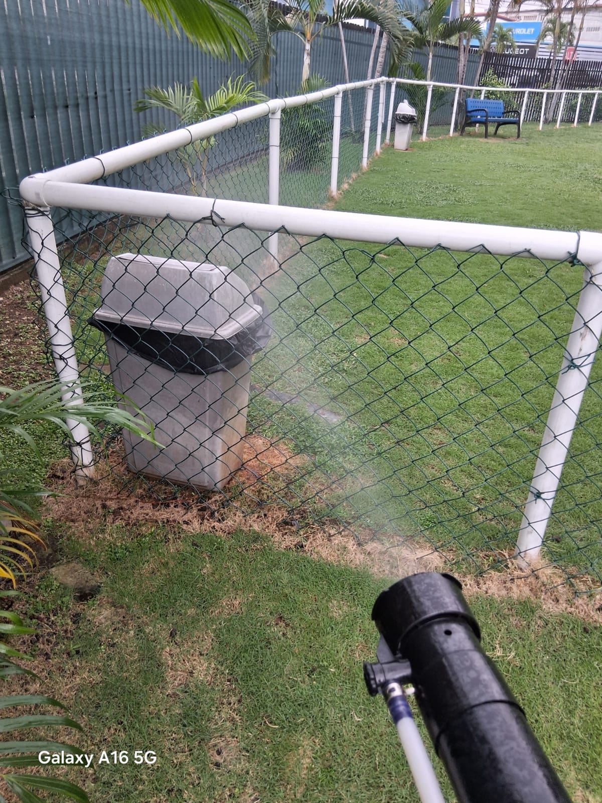 Técnico de fumigación aplicando tratamiento en superficie exterior